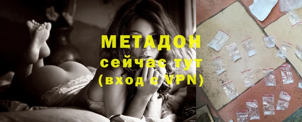 шишки Верея