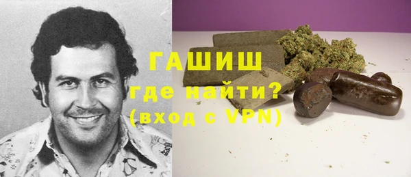 шишки Верея