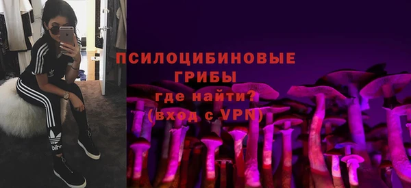 шишки Верея