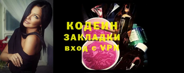 шишки Верея