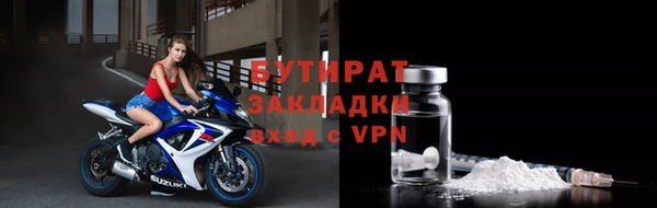 шишки Верея