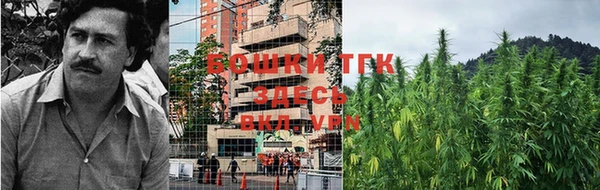 шишки Верея