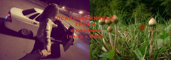 трава Верхний Тагил