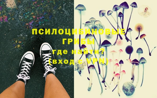 шишки Верея