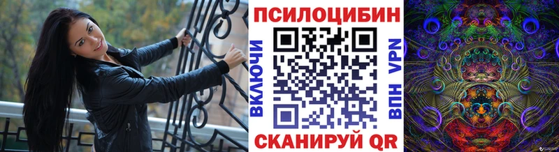 Псилоцибиновые грибы Magic Shrooms  дарк нет наркотические препараты  Карачаевск 